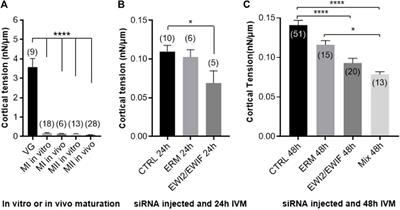 Oocyte ERM and EWI Proteins Are Involved in Mouse Fertilization